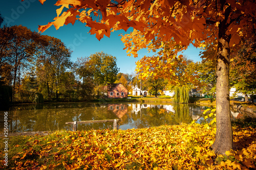 Autumn Park in Village with Lake and Maple Tree with Fallen Leaves