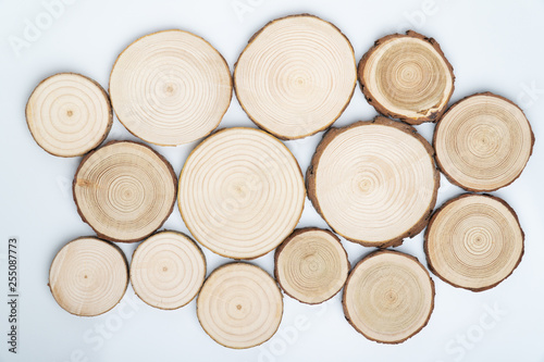 Pine tree cross-sections with annual rings on white background. Lumber piece close-up shot  top view.