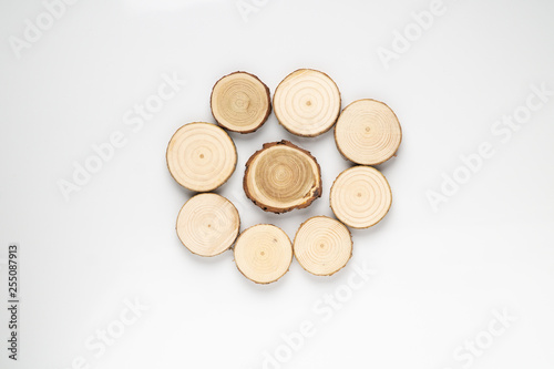 Circle of pine tree cross-sections with annual rings on white background. Lumber piece close-up shot, top view.