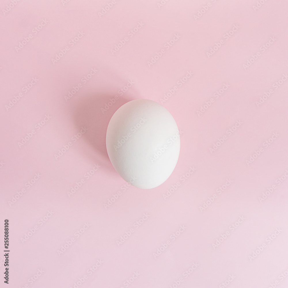 Fototapeta premium white egg on pink background in natural light top view