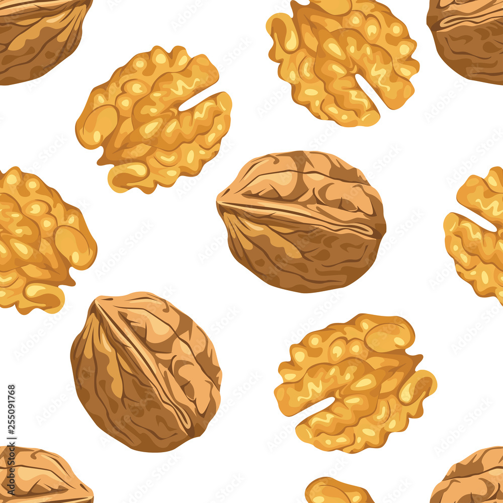 Walnut Seamless pattern on white background. Vector illustration of nuts in cartoon simple flat style. Walnut Seamless pattern on white background. Vector illustration of nuts in cartoon simple flat style.