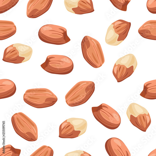 Peanut pattern on white background. Vector illustration of nuts in cartoon simple flat style.