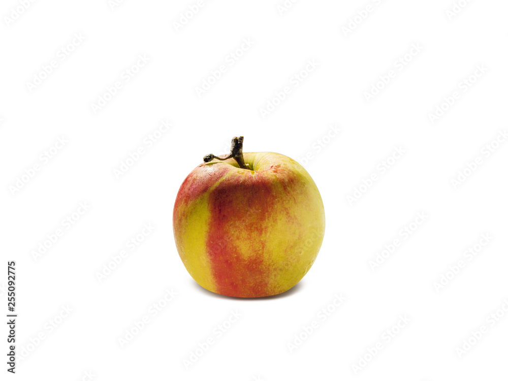 apple apple