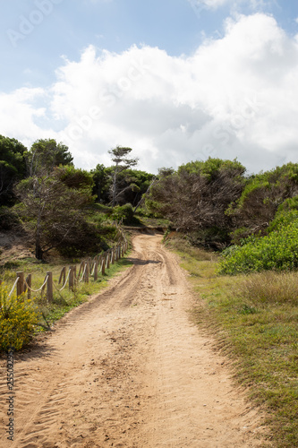 Wonderful dune landscape Cala Mesquida Mallorca Spain