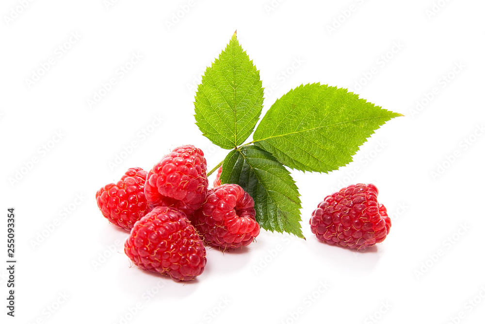 Ripe raspberries with leaf isolated on white background. Ripe raspberries with leaf isolated on white background.