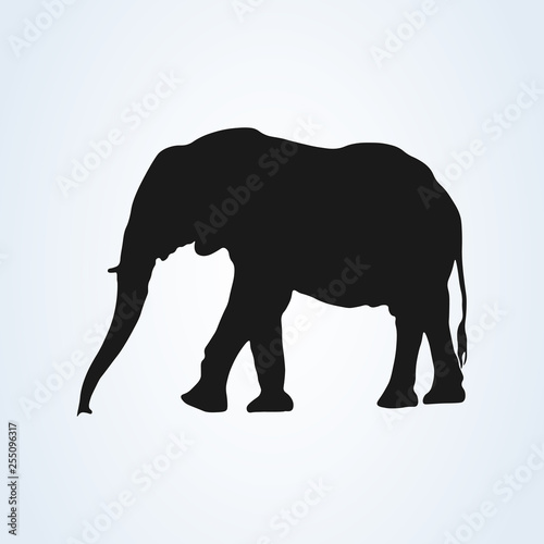 Black elephant silhouette icon vector. isolated on white background