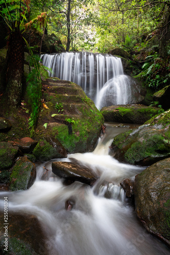 Fototapeta Naklejka Na Ścianę i Meble -  Cascading waterfalls through lush rainforest