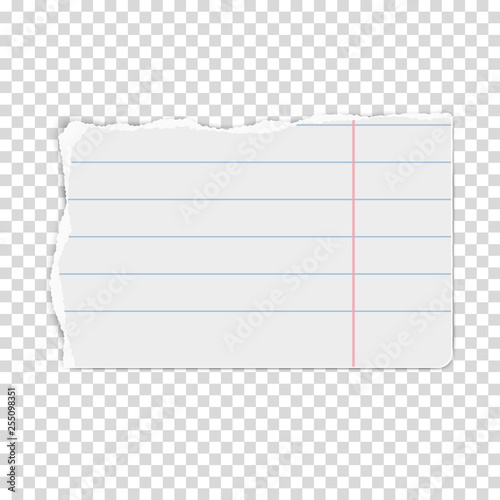 White vector oblong paper tear with soft shadow isolated on transparent background