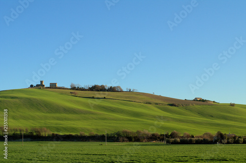 rural landscape with green field and blue sky agriculture horizon spring countryside land view panorama
