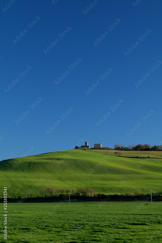 landscape with green field and blue sky,rural,agriculture,spring,cereal,panorama,countryside,horizon,outdoor,tower