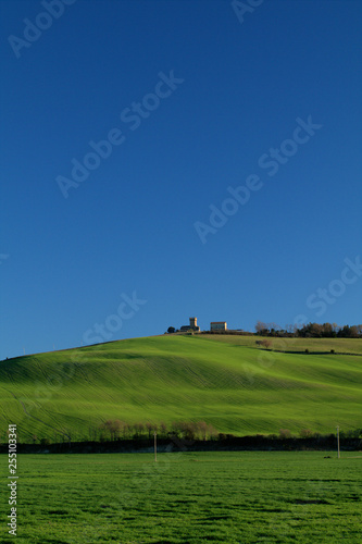 landscape with green field and blue sky,rural,agriculture,spring,cereal,panorama,countryside,horizon,outdoor,tower