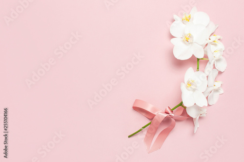 Beautiful White Phalaenopsis orchid flowers on pastel pink background top view flat lay. Tropical flower  branch of orchid close up. Pink orchid background. Holiday  Women s Day  Flower Card  beauty