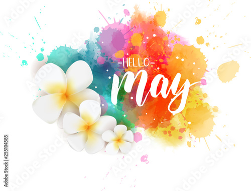 Hello May - floral spring concept background photo