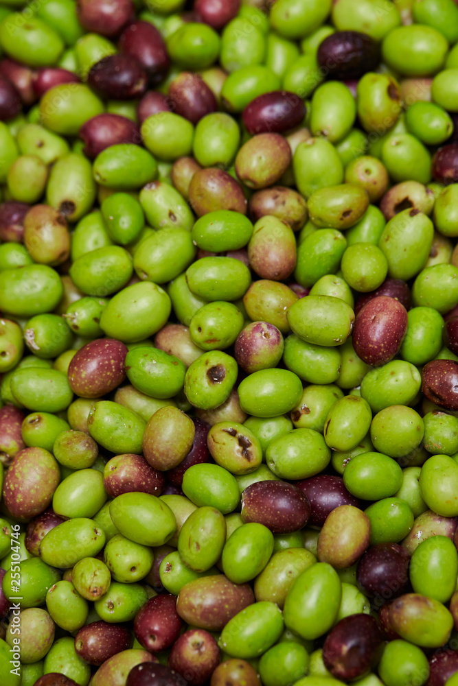 Olive fruit