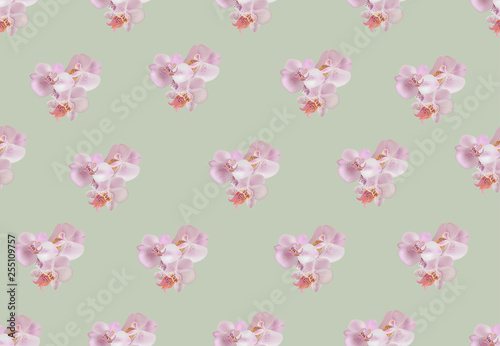 Vector seamless pattern with beautiful pink orchids.