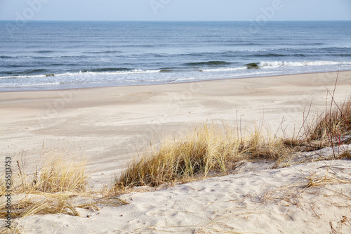 Dried grass on a beach dune, selective focus. photo