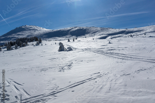 Amazing winter landscape of Plateau (Platoto) area ат Vitosha Mountain, Sofia City Region, Bulgaria