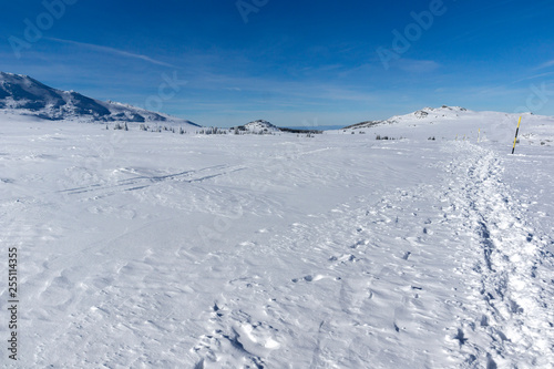 Amazing winter landscape of Plateau (Platoto) area ат Vitosha Mountain, Sofia City Region, Bulgaria © Stoyan Haytov