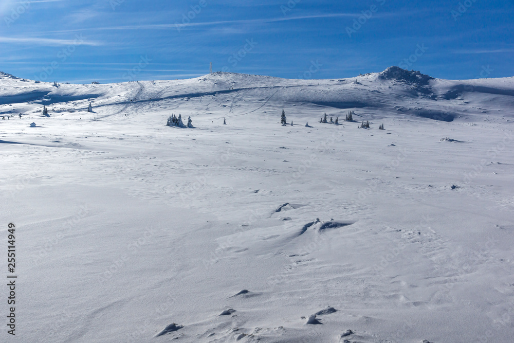 Amazing winter landscape of Plateau (Platoto) area ат Vitosha Mountain, Sofia City Region, Bulgaria Amazing winter landscape of Plateau (Platoto) area ат Vitosha Mountain, Sofia City Region, Bulgaria