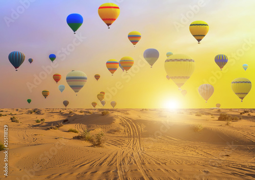 Canvas Print Hot air balloons sunset sand desert
