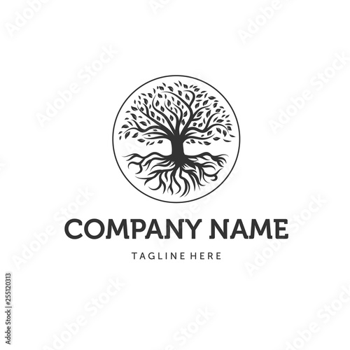 trees logo designs , vector illustration