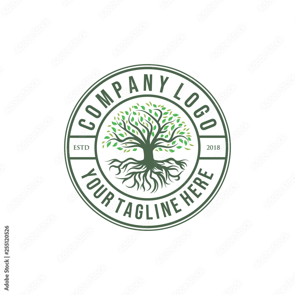 oak tree logo, olive tree logo designs