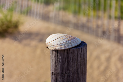 Clam Shell on Post