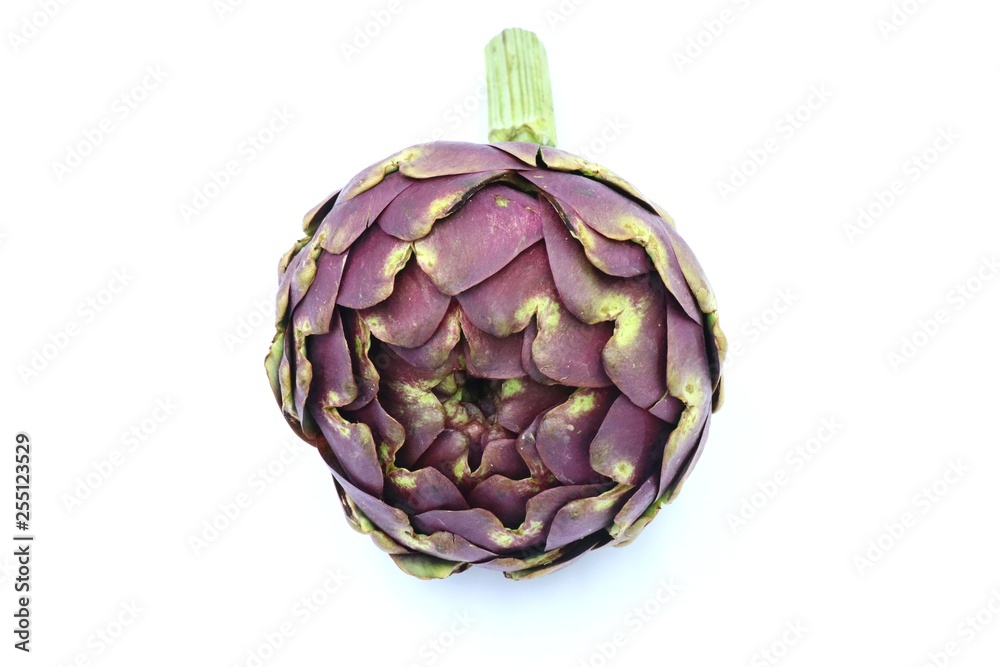 Fototapeta premium Fresh organic Artichoke on white background