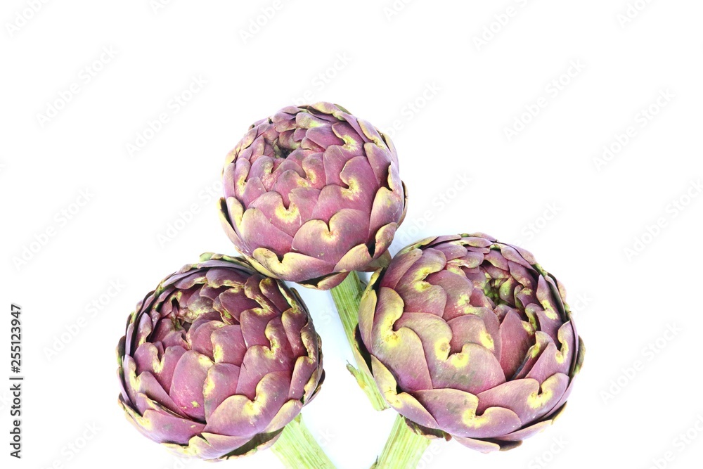 Obraz premium Fresh organic Artichokes on white background