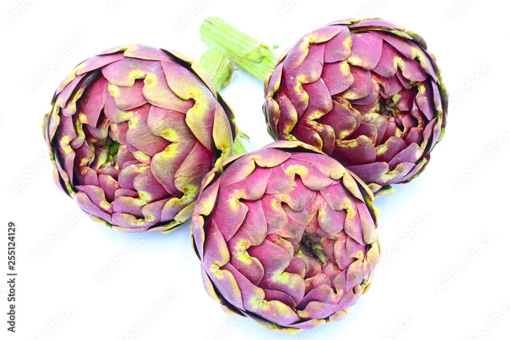 Fototapeta premium Fresh organic Artichokes on white background
