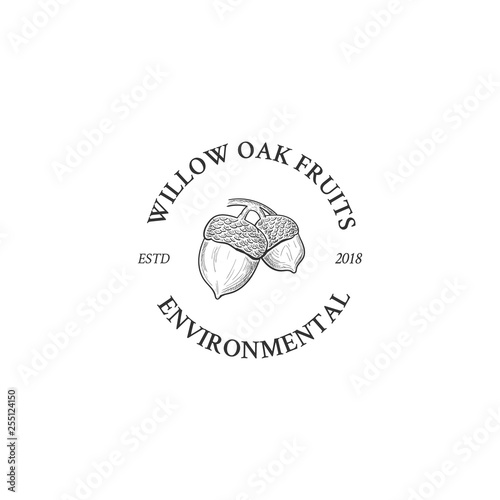 minimalist hand drawn acorn logo designs