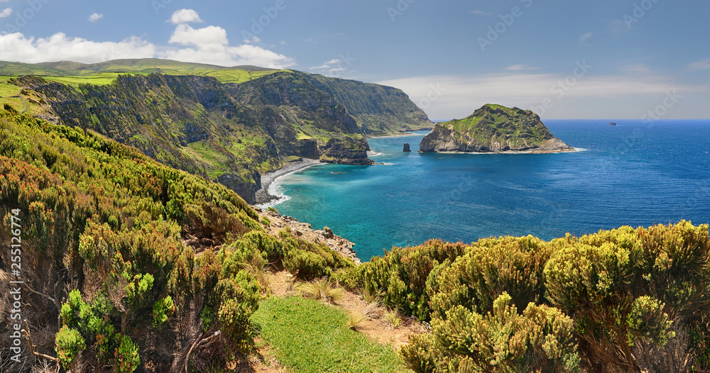 Naklejka premium Northern Coast at Flores near Ponta Delgada (Azores islands)