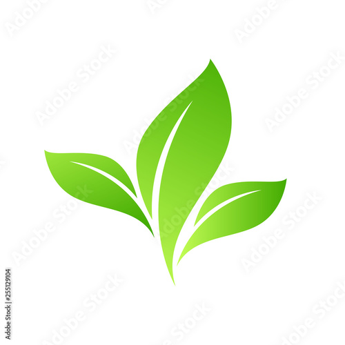 Fototapeta Naklejka Na Ścianę i Meble -  Eco Green Leaf Icon design Vector Illustration