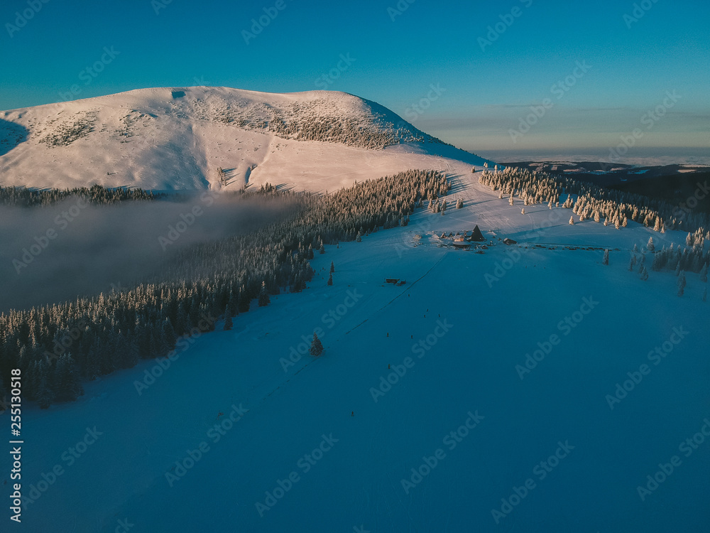Aerial view of the winter background with a snow covered forest and lake