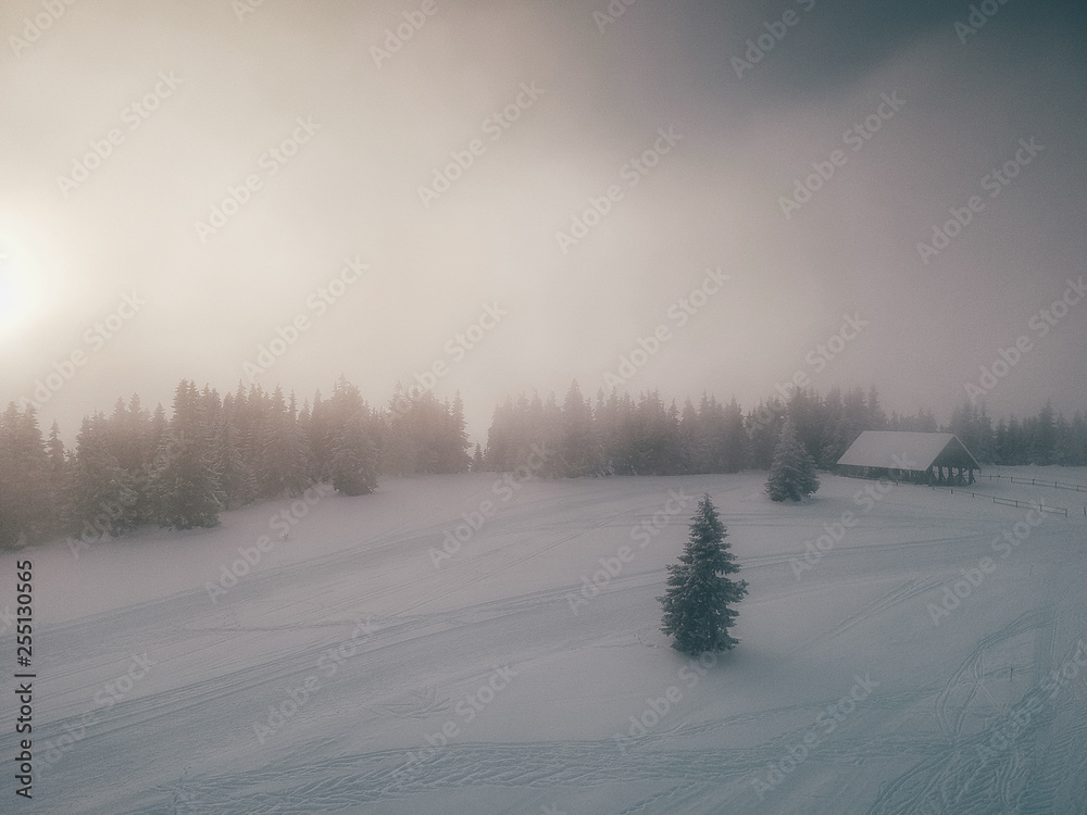 Fototapeta premium Aerial view of the winter background with a snow covered forest and lake