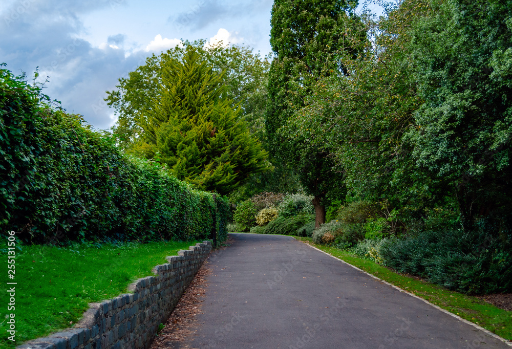 pedestrian road in the park in the afternoon