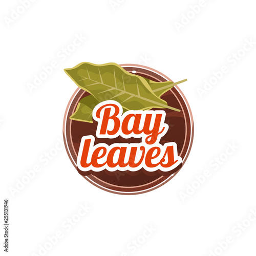 Bay Leaves Spice. Vector Illustration.