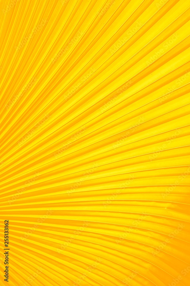 Fototapeta premium yellow color pattern background