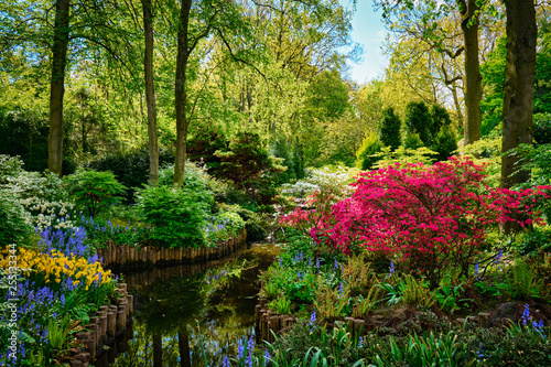 Keukenhof flower garden. Lisse, the Netherlands.