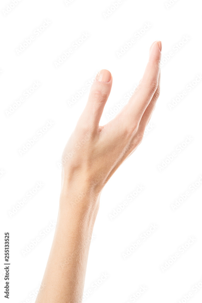 Female hand isolated on white background. White woman's hand showing symbols and gestures. Palm Female hand isolated on white background. White woman's hand showing symbols and gestures. Palm