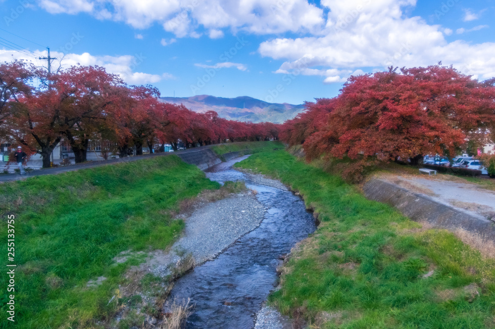 Obraz premium 「原村」日本で最も美しい村