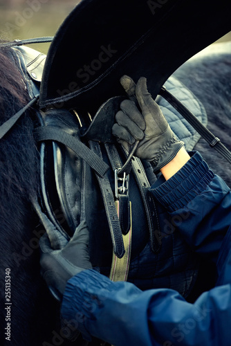 Leather saddle horse getting ready close up detail photo