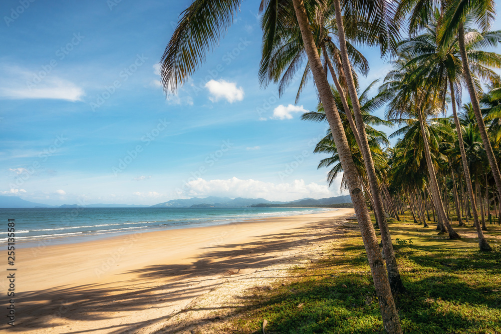Secluded Long Beach at San Vincente with palm trees, Palawan, Philippines