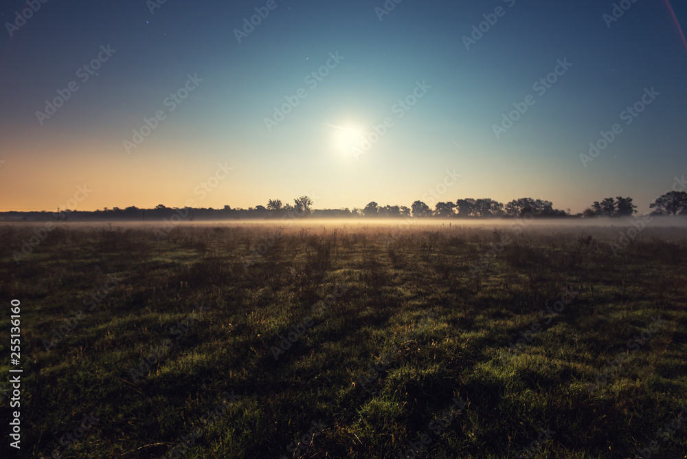Full moon, night view of the forest shrouded in mist Full moon, night view of the forest shrouded in mist