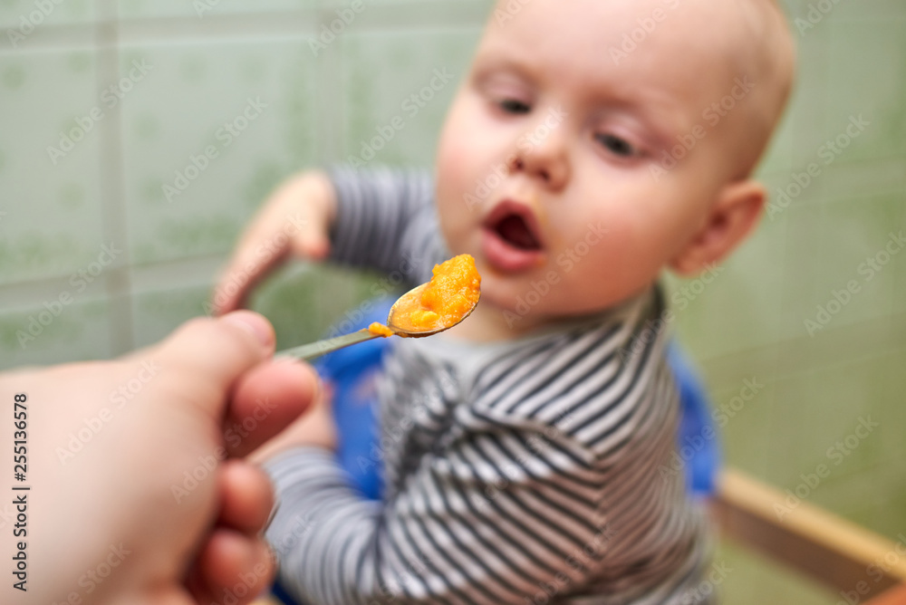 Parent feeds baby a pumpkin with a spoon Parent feeds baby a pumpkin with a spoon
