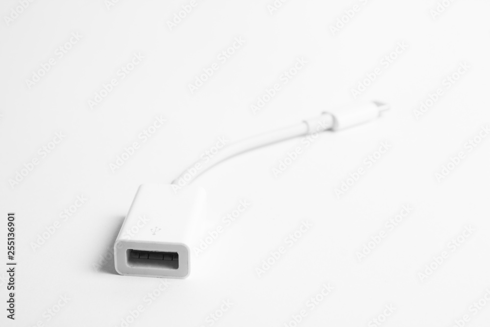 Fototapeta premium USB to type-c adapter