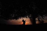 silhouette of love