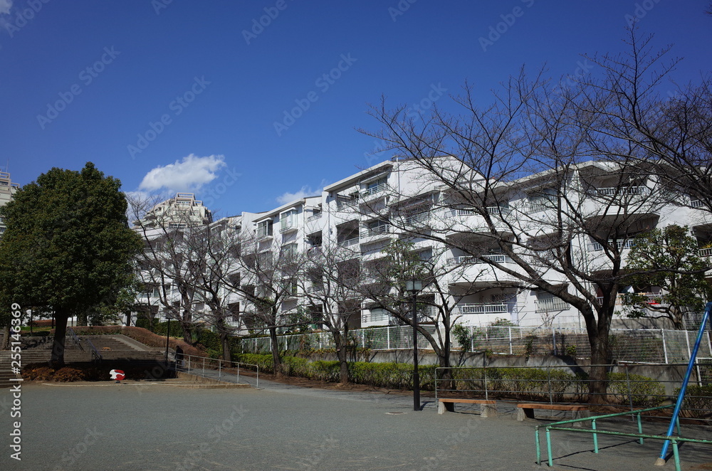 Obraz premium 郊外マンション