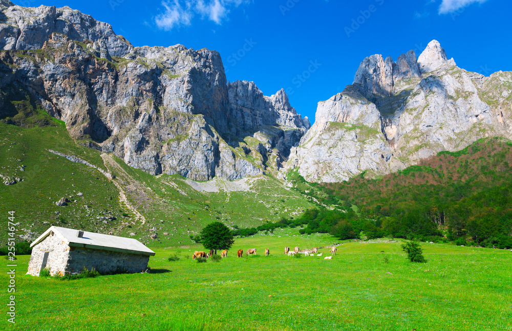 Picos de Europa, national part. Asturias, Spain.