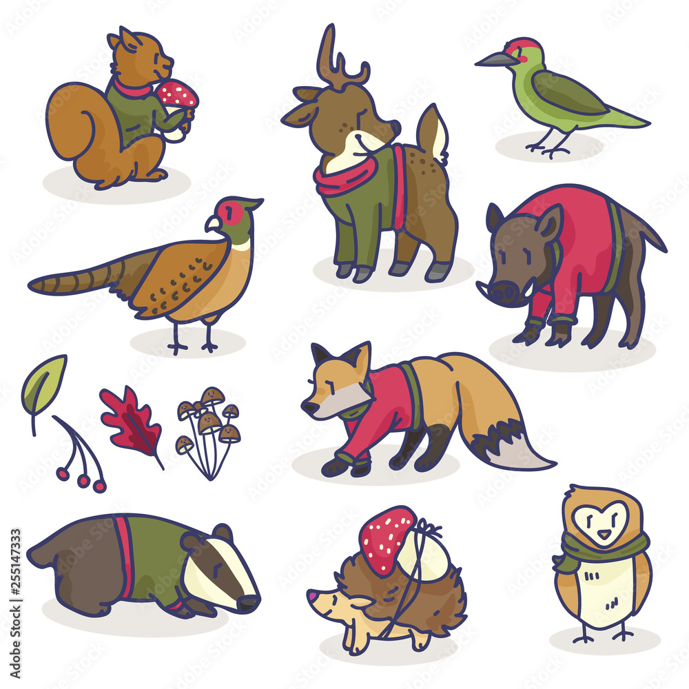 Woodland animals in sweaters cartoon vector illustration motif set. Hand  drawn isolated pheasant, deer, birds and fox elements clipart for nature  blog, wildlife hedgehog graphic, squirrel web buttons. Stock Vector | Adobe